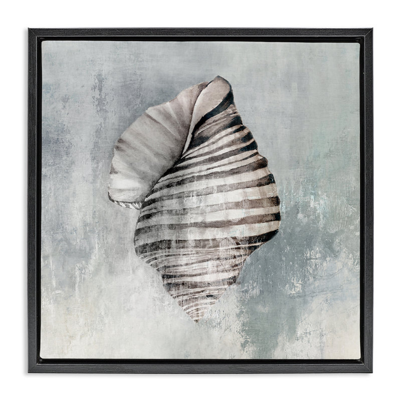Art mural sur toile flottant organique coquillage torsadé par Eli Jones, H 25 po x l 25 po, Cadre flottant noir de jais