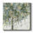 " Lemon Tree, Very Pretty VI "-1845810013