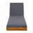 Lounge Chaise Set With Water-Resistant Lounge Cushion-169203856