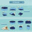 Isai Plastic Foldable Dog Pool-19123872-19123873