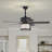 52'' Ceiling Fan with LED Lights