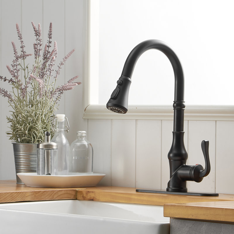 VIBRANTBATH Kitchen Faucet, Black, 2 GPM