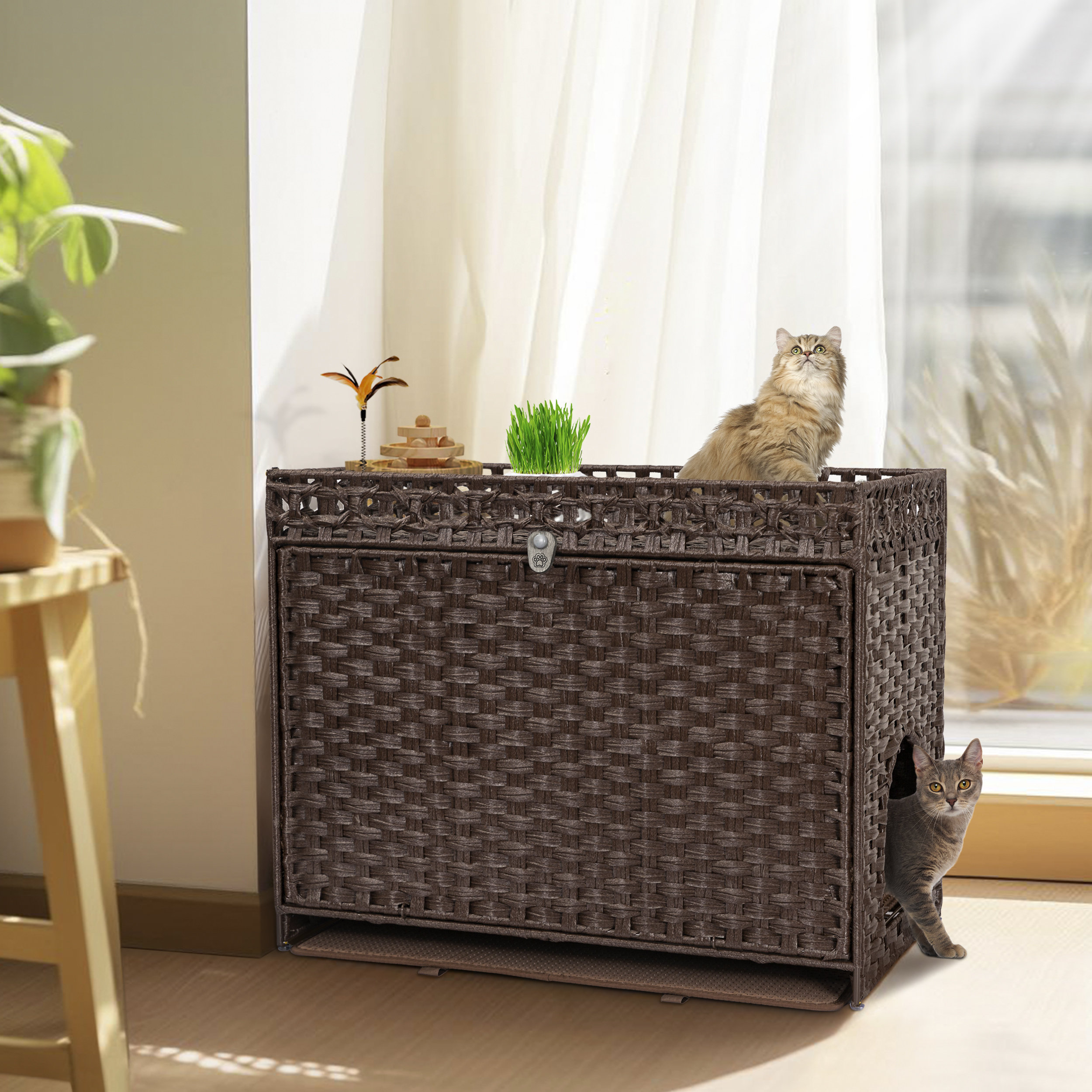 Cat litter outlet box chest