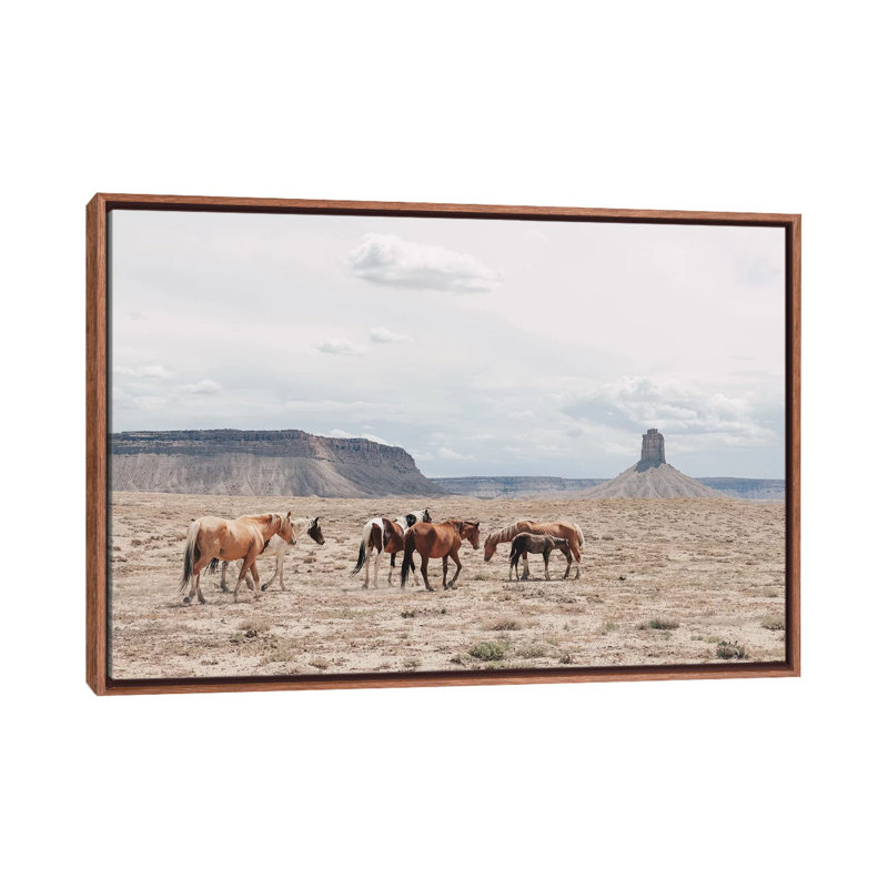 « arizona », photographie, H 18 po x l 26 po x P 1,5 po, Toile avec cadre en bois classique