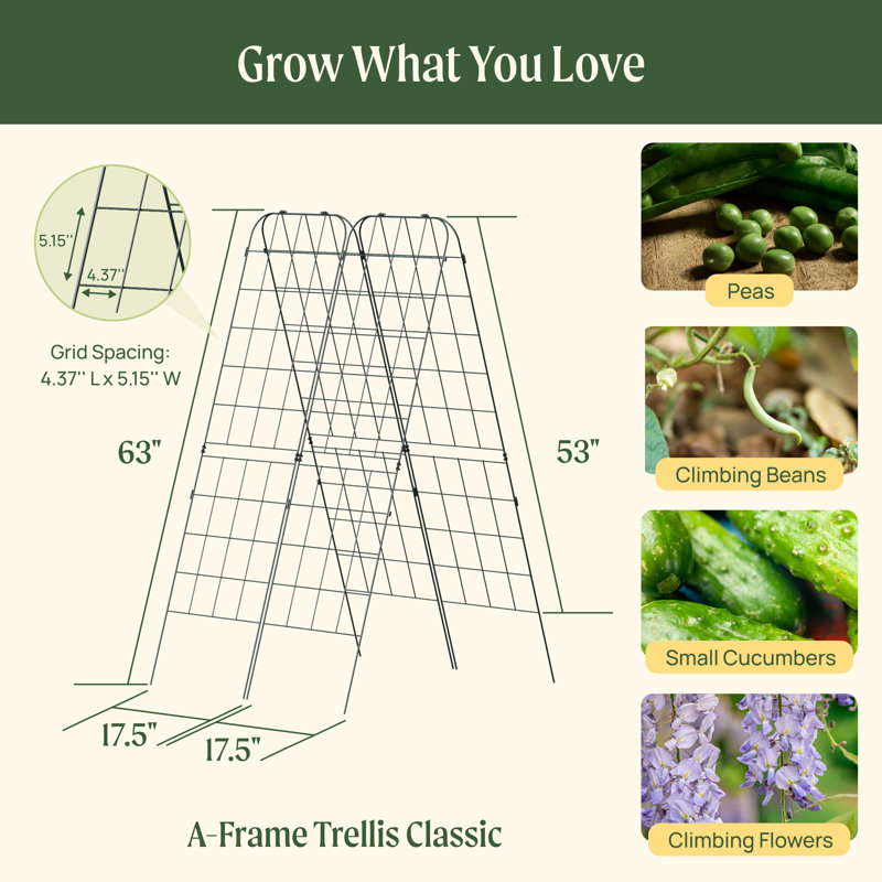 Treillis de jardin Classic