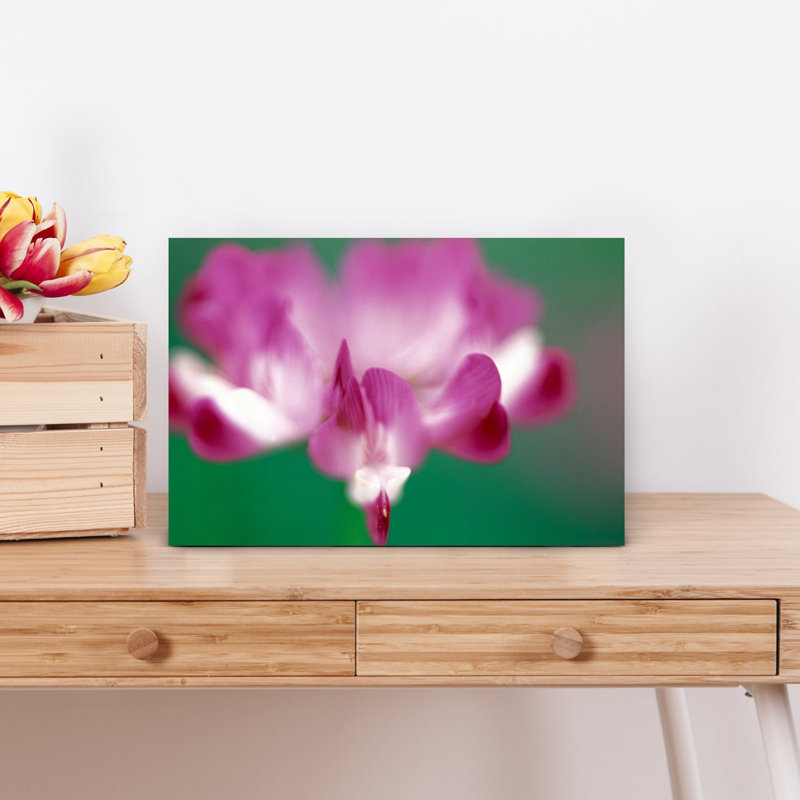 Photographie murale en gros plan d'une fleur rose contemporaine, H 12 po x l 18 po