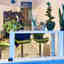 Photos des clients 1 de 1