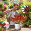 Ensemble de 2 grandes plantes artificielles en agave sans pot pour la décoration intérieure et extérieure-1128391465-1128391468