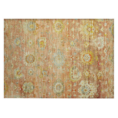 Machine Washable Indoor/Outdoor Chantille ACN1107 Coral Rug