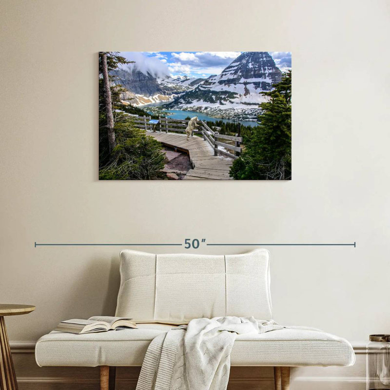 Chèvre de montagne Alvord Glacier Park, H 24 po x l 36 po