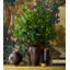 Calinda Tall Vase, Chocolate