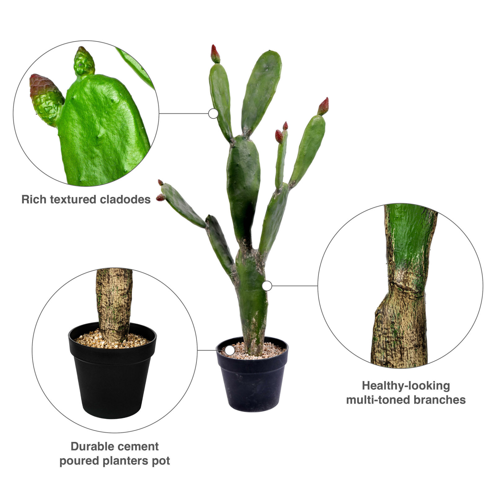 Cactus Plant in Pot, 57" H x 14' W x 16" D
