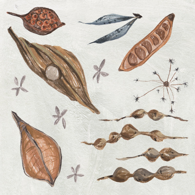 " Small Things V " by Melissa Wang Painting Print, 12" H x 12" W