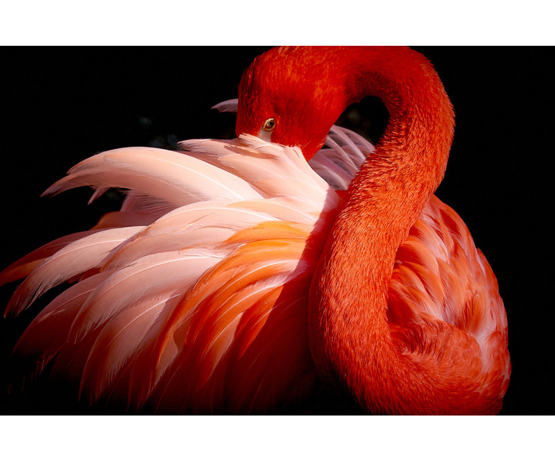 Wrapped Canvas Print, 81.28 cm H x 121.92 cm W