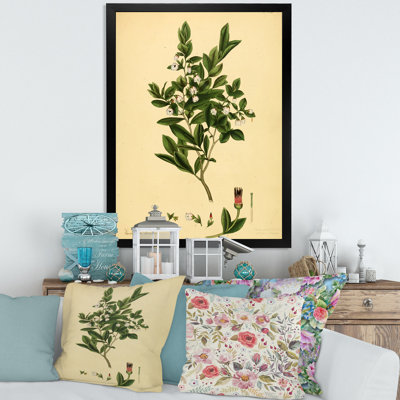 Vintage Plant Life XXV - Décoration murale traditionnelle