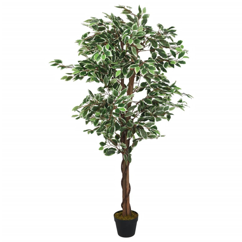 Faux Ficus Tree in Pot, 80cm H x 70cm W