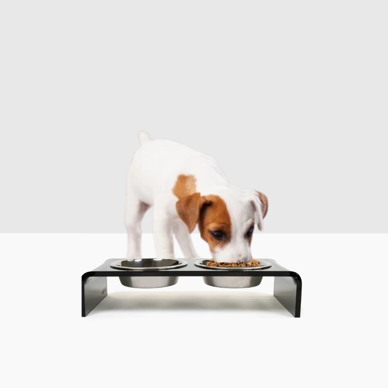 Acrylic Double Bowl Elevated Pet Feeder, Silver