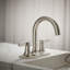 Venza Centerset Bathroom Sink Faucet 1.0 GPM-390193029