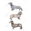 Petit imprimé de chien teckel | Décoration intérieure mate encadrée grise