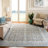 Younes Provance Performance Oriental Rug-1463179500