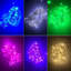 Guirlande de lumières scintillantes à DEL de 16,4 pieds de long avec 100 ampoules Lesera (ensemble de 2)-1541631079