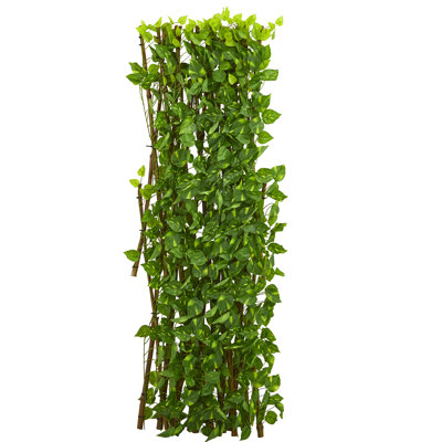 47in. Pothos Expandable Fence UV Resistant & Waterproof
