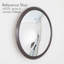 Oculus Mirror-Lg-389807758