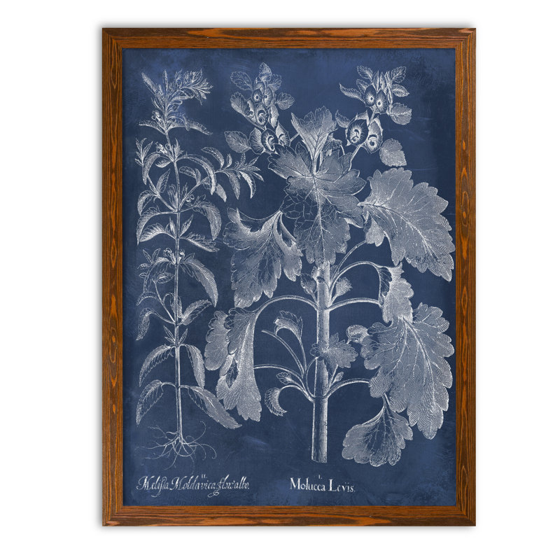 " Besler Leaves In Indigo I " by Paul Cezanne, 30" H x 22" W x 1" D, Maple Framed Canvas