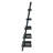 Danikka Ladder Bookcase