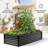 8X4x2ft Galvanized Raised Garden Bed With Trellis