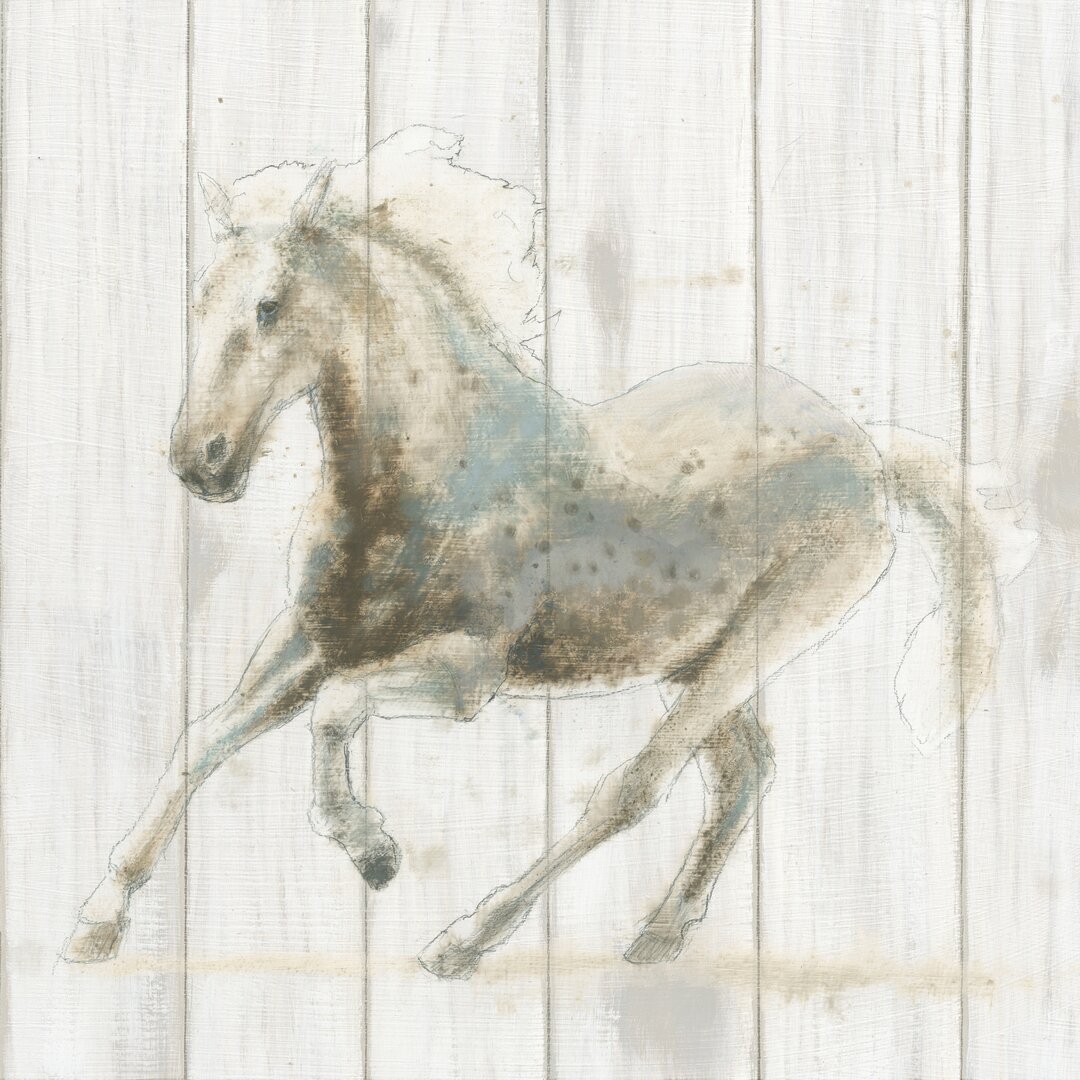 Leinwandbild Stallion II on Birch von James Wiens