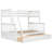 Addieville 2 Drawers Wood Standard Bunk Bed-420150997-430881201