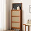 Armoire à chaussures, h 65 po avec rangement caché, s'adapte à divers styles de maison, armoire de grande capacité de construction pour entrée, h 65 po, 3 tiroirs rabattables et noir, pratique