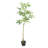 120CM ARTIFICIAL PACHIRA MACROCARPA