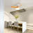 Benioff Ceiling Fan with LED Lights