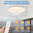 Enesha 18'' Ceiling Fan with LED Lights