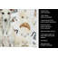 Torchon blanc Whippet-1234934611