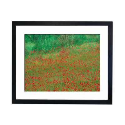 Single Picture Frame Print