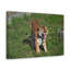 No Frame Print on Canvas