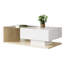 Table basse Flora avec plateau brillant, éclairage DEL et rangement-1013790022
