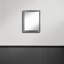 Yardley Wood Rectangle Mirror