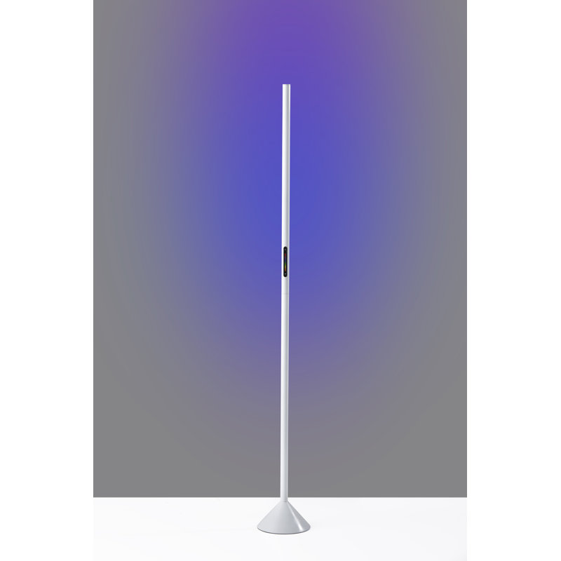Leif 58'' LED Novelty Floor Lamp, Matte White