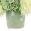 Hydrangea Arrangement in a Ceramic Pot-2085946963