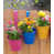 Hot Pink/Blue/Saffron is out of stock