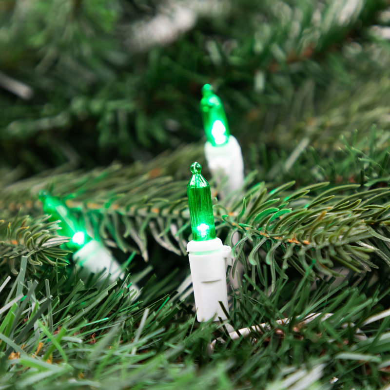 Guirlande de 100 lumières DEL, Vert/blanc, 50