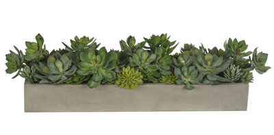 Succulent, Green, Planter Concrete Finish, 39wx14dx9h