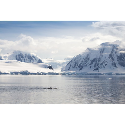 " Antarctic Landscape " by Robert Mcgillivray