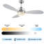 48 " Ceiling Fan