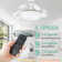 Chesterine 36'' Ceiling Fan with LED Lights