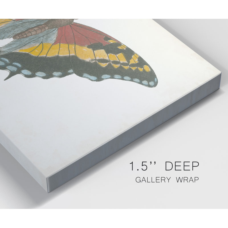 « Beautiful Butterfly IV », reproduction d’art sur toile tendue, H 48 po x l 32 po x P 1 po